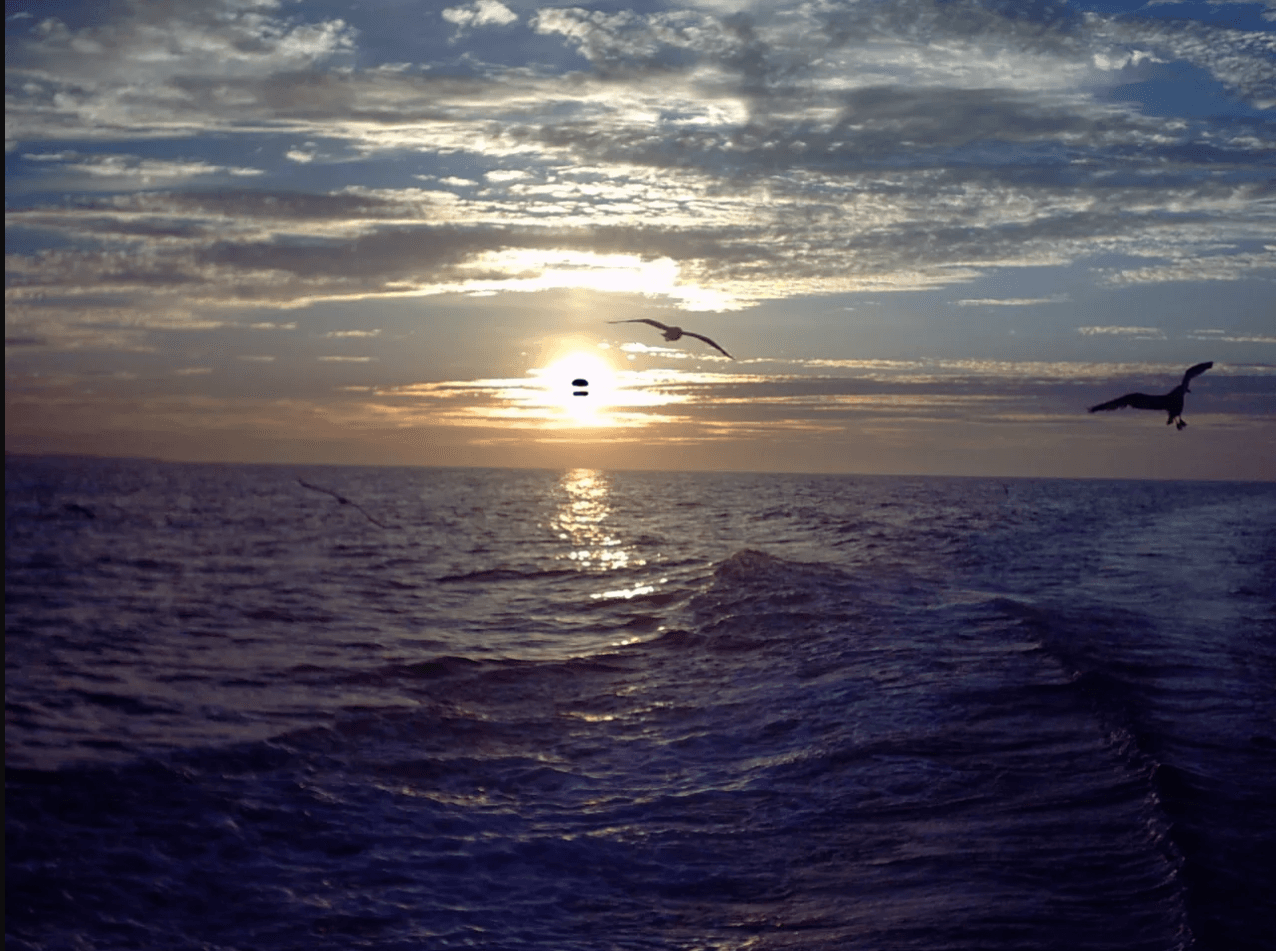 Quranic miracle: 물과 생명 - Scientific proof in the Quran