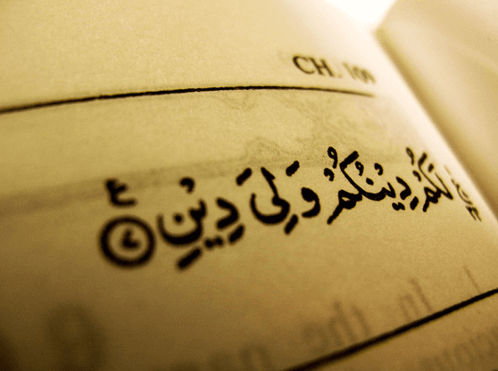 মানবাধিকার ও সহিষ্ণুতা